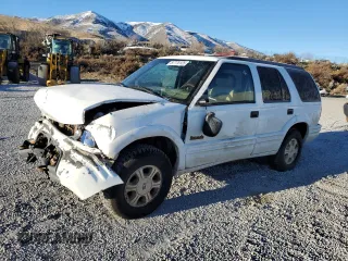 1996 Oldsmobile Bravada z VIN 1GHDT13W3T2704484, wystawiony jako Copart lot #87770125 z przebiegiem 308 972 mil mil oraz Szkoda całkowita • Salvage title. Historia ofert i sprzedaży dostępna na DreamBid. Obrazek 1.