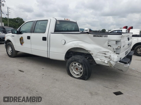 2013 Ford F-150 with VIN 1FTVW1CF2DKD26435, listed as a Copart auction lot 63986444 with 43,233 mi miles and Salvage title. Bid and sale history available at DreamBid. Image 2.