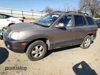 2005 Hyundai Santa Fe GLS with VIN KM8SC73E95U889313, listed as a Copart auction lot 42508925 with 187,643 mi miles and Salvage Title. Bid and sale history available at carsss.com. Image 1.