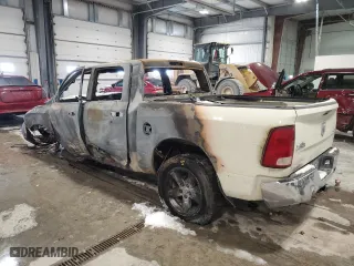 2010 Dodge Ram 1500 SLT with VIN 1D7RV1CT1AS230050, listed as a Copart auction lot 44430295 with 0 mi miles and Salvage Title. Bid and sale history available at carsss.com. Image 2.