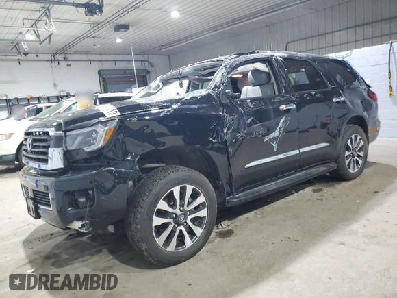2019 Toyota Sequoia Limited with VIN 5TDJY5G18KS172799, listed as a Copart auction lot 85010134 with 29,122 mi miles and Salvage Title. Bid and sale history available at carsss.com. Image 1.