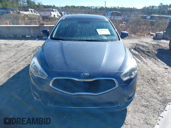 2015 Kia Cadenza Premium with VIN KNALN4D79F5170489, listed as a IAAI auction lot 41688482 with 158,340 mi miles. Bid and sale history available at carsss.com. Image 6.