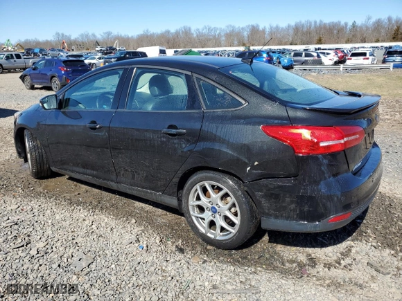 2015 Ford Focus SE with VIN 1FADP3F21FL200504, listed as a Copart auction lot 49289055 with NaN miles and Salvage Title. Bid and sale history available at carsss.com. Image 2.