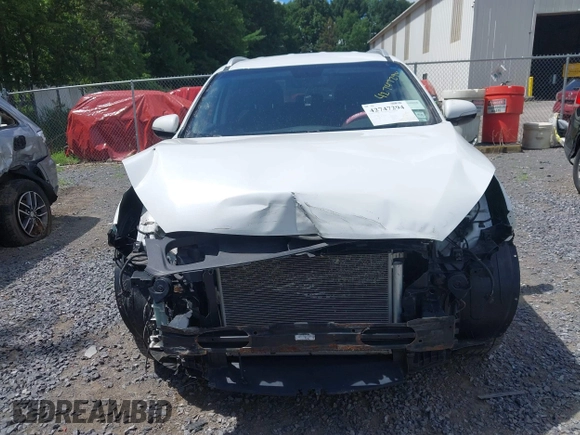 2017 Kia Sorento EX with VIN 5XYPHDA52HG321827, listed as a IAAI auction lot 42747294 with 106,737 mi miles and . Bid and sale history available at DreamBid. Image 12.