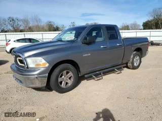 2010 Dodge Ram 1500 ST with VIN 1D7RB1GP6AS127356, listed as a Copart auction lot 46239935 with 283,042 mi miles and Clean Title. Bid and sale history available at carsss.com. Image 1.