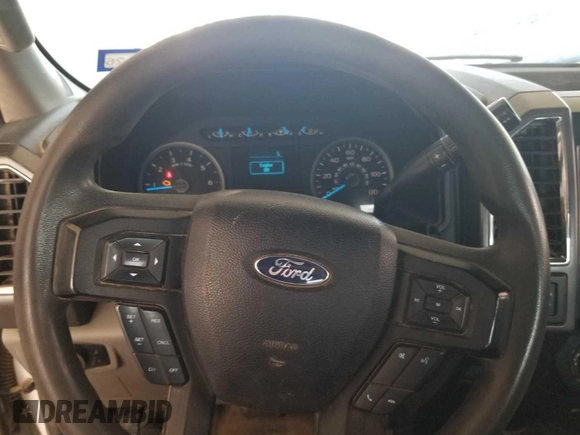 2016 Ford F-150 XLT with VIN 1FTEW1EF5GFB29138, listed as a IAAI auction lot 42845125 with 245,900 mi miles and . Bid and sale history available at DreamBid. Image 6.