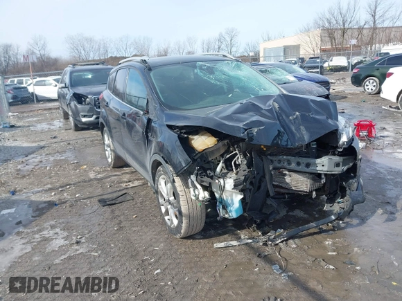 2014 Ford Escape Titanium with VIN 1FMCU9J9XEUC15464, listed as a IAAI auction lot 41524925 with 160,445 mi miles. Bid and sale history available at carsss.com. Image 1.