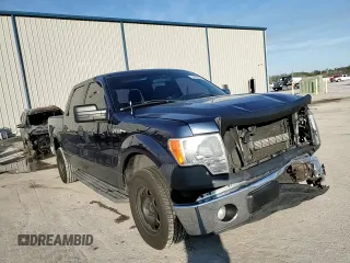 2014 Ford F-150 XL with VIN 1FTEW1CM7EFB74354, listed as a Copart auction lot 43345405 with 119,357 mi miles and Non Repairable. Bid and sale history available at carsss.com. Image 13.
