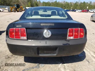 2005 Ford Mustang Deluxe with VIN 1ZVFT80N555244925, listed as a Copart auction lot 49692365 with 0 mi miles and Clean Title. Bid and sale history available at carsss.com. Image 6.