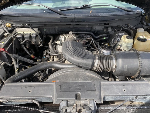 2005 Ford F-150 STX with VIN 1FTRX14W15NB53391, listed as a Copart auction lot 50452905 with 169,403 mi miles and Salvage Title. Bid and sale history available at carsss.com. Image 7.