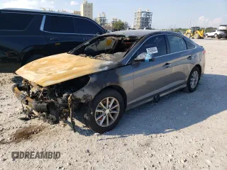2019 Hyundai Sonata SE with VIN 5NPE24AFXKH772232, listed as a Copart auction lot 72905174 with Not Provided miles and Salvage Title. Bid and sale history available at DreamBid. Image 1.