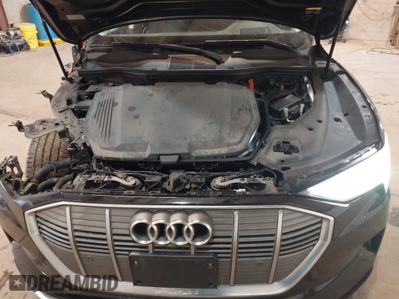 2019 Audi e-tron Prestige with VIN WA1VABGE1KB008769, listed as a IAAI auction lot 41412414 with 41,072 mi miles and . Bid and sale history available at DreamBid. Image 10.
