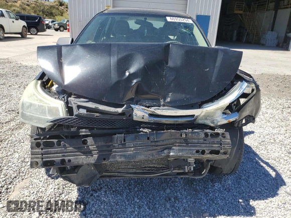 2009 Ford Focus S with VIN 1FAHP34N79W111747, listed as a Copart auction lot 66955294 with Not Provided miles and Salvage Title. Bid and sale history available at DreamBid. Image 5.