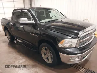 2010 Dodge 1500 SLT z VIN 1D7RV1CT8AS229218, wystawiony jako IAAI lot #41933706 z przebiegiem 155 964 mil mil oraz . Historia ofert i sprzedaży dostępna na DreamBid. Obrazek 1.