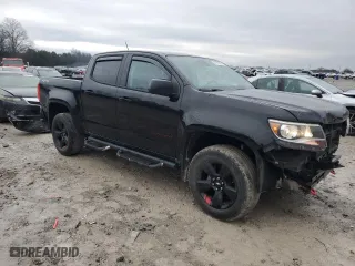 2019 Chevrolet Colorado 4WD LT with VIN 1GCGTCEN5K1127822, listed as a Copart auction lot 44759785 with 67,043 mi miles and Salvage Title. Bid and sale history available at carsss.com. Image 4.