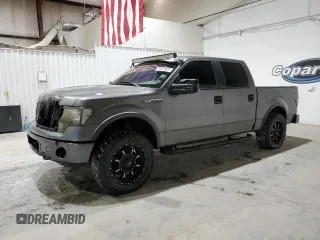 2010 Ford F-150 XL with VIN 1FTFW1EV5AFA74662, listed as a Copart auction lot 48384295 with 234,570 mi miles and Clean Title. Bid and sale history available at carsss.com. Image 1.