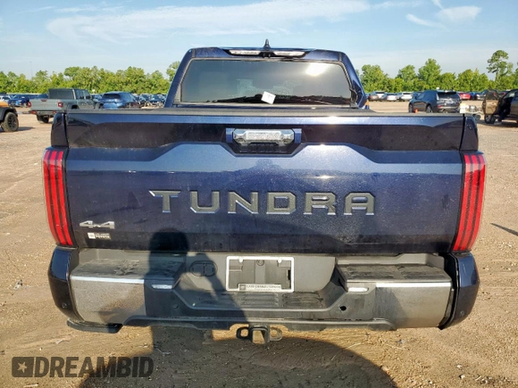 2024 Toyota Tundra 1794 Edition with VIN 5TFMC5DB7RX064784, listed as a Copart auction lot 62749385 with 17,587 mi miles and Salvage title. Bid and sale history available at DreamBid. Image 6.