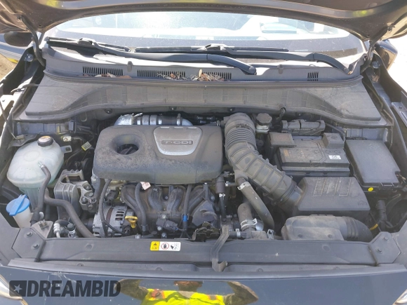 2018 Hyundai Kona Ultimate with VIN KM8K53A58JU123279, listed as a IAAI auction lot 41898010 with 60,002 mi miles. Bid and sale history available at carsss.com. Image 10.