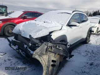 2019 Hyundai Kona SEL with VIN KM8K2CAA5KU307070, listed as a Copart auction lot 48346955 with 75,049 mi miles and Salvage Title. Bid and sale history available at carsss.com. Image 1.