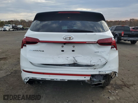 2023 Hyundai Santa Fe Calligraphy with VIN 5NMS5DAL9PH638154, listed as a Copart auction lot 77254174 with 8,565 mi miles and Salvage Title. Bid and sale history available at carsss.com. Image 6.