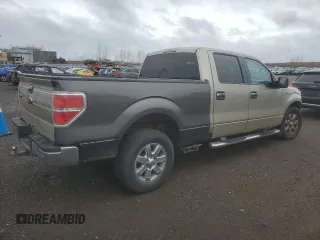 2009 Ford F-150 XL with VIN 1FTRW14869FA71127, listed as a Copart auction lot 81552544 with Not provided miles and Salvage title. Bid and sale history available at DreamBid. Image 3.