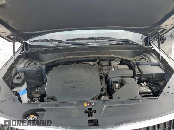 2024 Kia Telluride LX with VIN 5XYP24GC2RG422360, listed as a Copart auction lot 56885035 with Not provided miles and Salvage title. Bid and sale history available at DreamBid. Image 12.