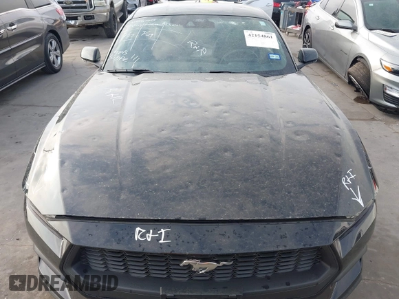 2024 Ford Mustang EcoBoost with VIN 1FA6P8TH0R5136513, listed as a IAAI auction lot 42154861 with 9,281 mi miles and . Bid and sale history available at DreamBid. Image 13.