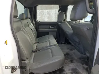 2013 Ford F-150 XL with VIN 1FTFW1EF8DKF67899, listed as a Copart auction lot 55303025 with 310,505 mi miles and Salvage title. Bid and sale history available at DreamBid. Image 10.