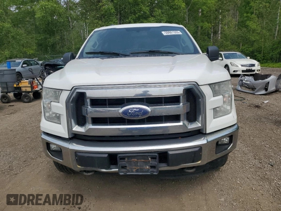 2015 Ford F-150 XLT with VIN 1FTEW1E85FFB51933, listed as a Copart auction lot 59901355 with 436,271 mi miles and Clean title. Bid and sale history available at DreamBid. Image 5.