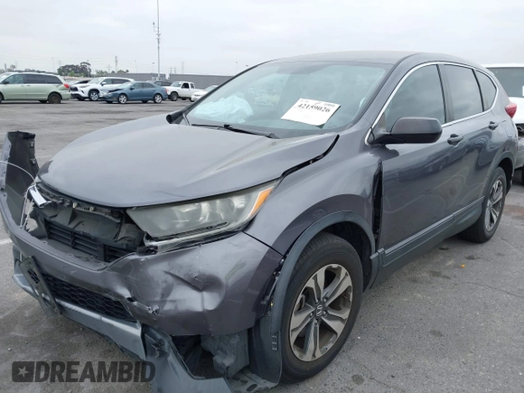 2019 Honda CR-V LX with VIN 2HKRW5H31KH400639, listed as a IAAI auction lot 42159026 with 45,245 mi miles and . Bid and sale history available at carsss.com. Image 2.