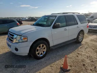 2009 Ford Expedition XLT with VIN 1FMFU15599LA04080, listed as a Copart auction lot 62428095 with 217,072 mi miles and Clean title. Bid and sale history available at DreamBid. Image 1.
