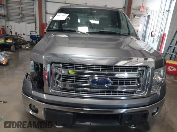 2014 Ford F-150 XL with VIN 1FTFX1ET0EFC70803, listed as a IAAI auction lot 41639807 with 118,745 mi miles and . Bid and sale history available at DreamBid. Image 13.