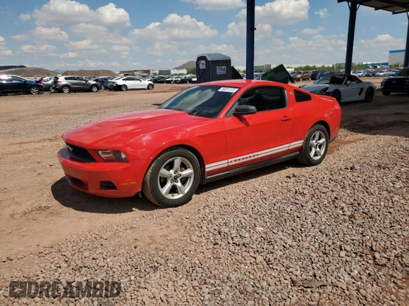 2010 Ford Mustang V6 with VIN 1ZVBP8AN6A5128015, listed as a Copart auction lot 59201315 with 143,591 mi miles and Salvage title. Bid and sale history available at DreamBid. Image 1.