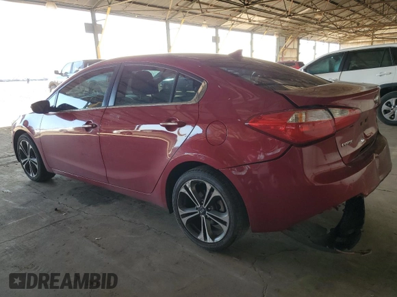 2014 Kia Forte EX with VIN KNAFX4A88E5235965, listed as a Copart auction lot 45882965 with 119,133 mi miles and Salvage Title. Bid and sale history available at carsss.com. Image 2.