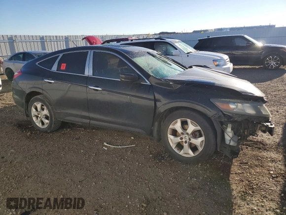 2010 Honda Accord Crosstour EX-L with VIN 5J6TF2H50AL800444, listed as a Copart auction lot 75496834 with Not Provided miles and Salvage Title. Bid and sale history available at carsss.com. Image 4.