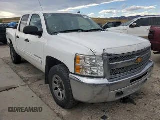 2013 Chevrolet Silverado 1500 LS with VIN 3GCPKREA9DG322507, listed as a Copart auction lot 61960472 with 167,442 mi miles and Non Repairable. Bid and sale history available at DreamBid. Image 1.