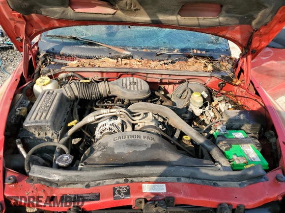1997 Dodge Dakota with VIN 1B7GL23X0VS113985, listed as a Copart auction lot 76009264 with 99,015 mi miles and Salvage Title. Bid and sale history available at carsss.com. Image 11.