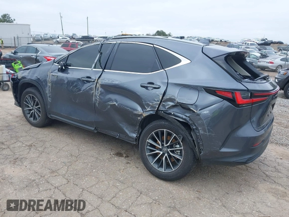 2024 Lexus NX 250 Premium with VIN JTJGDCAZ5R2014024, listed as a IAAI auction lot 41221211 with Not Provided miles and . Bid and sale history available at DreamBid. Image 3.