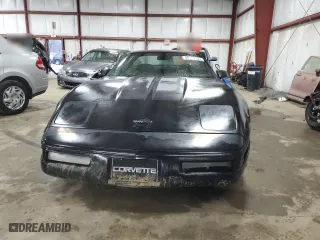 1996 Chevrolet Corvette with VIN 1G1YY22P3T5115645, listed as a Copart auction lot 48179135 with 193,924 mi miles and Clean Title. Bid and sale history available at carsss.com. Image 5.