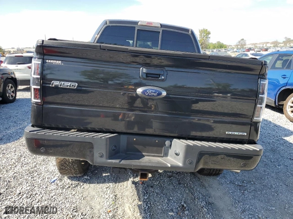 2013 Ford F-150 XL with VIN 1FTFW1CF1DKG41439, listed as a Copart auction lot 50168925 with 113,320 mi miles and Salvage Title. Bid and sale history available at carsss.com. Image 6.