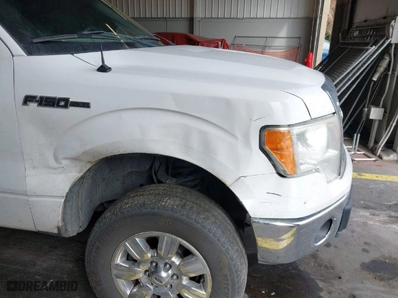 2011 Ford F-150 XL with VIN 1FTFX1EF8BFB45795, listed as a IAAI auction lot 40379782 with 259,050 mi miles. Bid and sale history available at carsss.com. Image 19.
