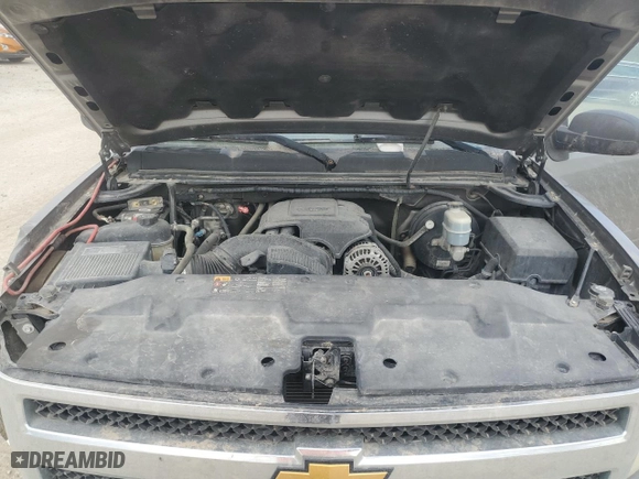 2009 Chevrolet Silverado 1500 LT with VIN 1GCEK29039Z252901, listed as a Copart auction lot 49188715 with 194,826 mi miles and Salvage Title. Bid and sale history available at carsss.com. Image 13.