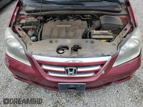 2005 Honda Odyssey EX-L with VIN 5FNRL386X5B413304, listed as a Copart auction lot 45020465 with 210,394 mi miles and Clean Title. Bid and sale history available at carsss.com. Image 12.