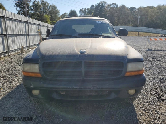 2000 Dodge Durango with VIN 1B4HS28Z5YF187169, listed as a Copart auction lot 77848324 with 226,029 mi miles and Salvage Title. Bid and sale history available at carsss.com. Image 5.