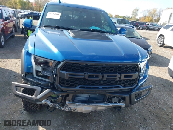 2019 Ford F-150 Raptor with VIN 1FTFW1RG7KFA15755, listed as a IAAI auction lot 40604769 with 34,627 mi miles. Bid and sale history available at carsss.com. Image 6.