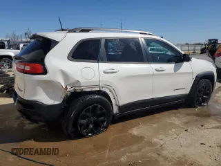 2016 Jeep Cherokee Trailhawk with VIN 1C4PJMBS3GW242693, listed as a Copart auction lot 48139135 with 222,225 mi miles and Non Repairable. Bid and sale history available at carsss.com. Image 3.