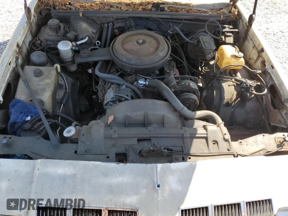 1978 Oldsmobile Cutlass with VIN 3M47F8D426090, listed as a Copart auction lot 52980655 with 86,771 mi miles and Clean Title. Bid and sale history available at DreamBid. Image 11.