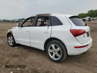 2011 Audi Q5 Premium Plus with VIN WA1LFAFP7BA032263, listed as a Copart auction lot 58926275 with Not provided miles and Salvage title. Bid and sale history available at DreamBid. Image 2.