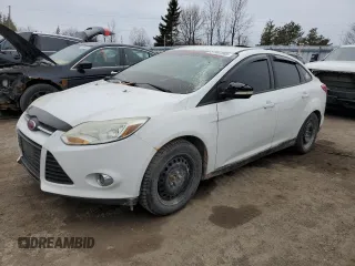 2014 Ford Focus SE with VIN 1FADP3F20EL290713, listed as a Copart auction lot 51967065 with 234,770 mi miles and Salvage Title. Bid and sale history available at carsss.com. Image 1.