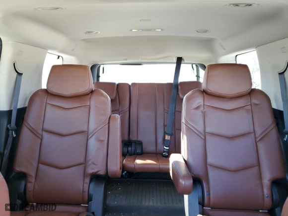 2020 Cadillac Escalade Premium Luxury with VIN 1GYS4CKJ2LR143417, listed as a Copart auction lot 80846294 with 79,568 mi miles and Salvage Title. Bid and sale history available at carsss.com. Image 10.